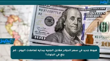 هبوط جديد في سعر الدولار مقابل الجنيه ببداية تعاملات اليوم.. كم بلغ في البنوك؟
